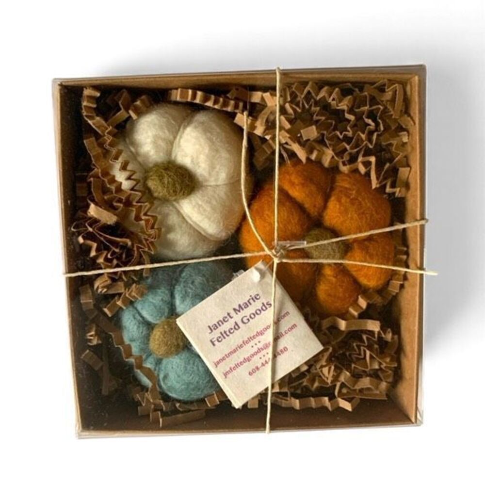 Handmade Felted Pumpkin Soap Fall Scented Merino Wool Exfoliating Mini Set of 3